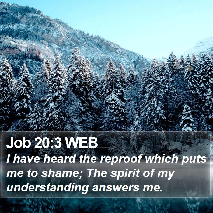 Job 20:3 WEB Bible Study