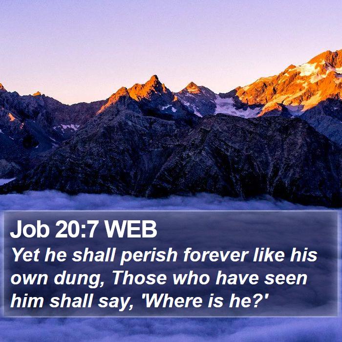 Job 20:7 WEB Bible Study