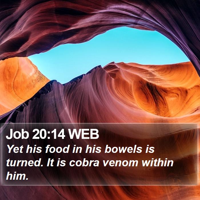 Job 20:14 WEB Bible Study