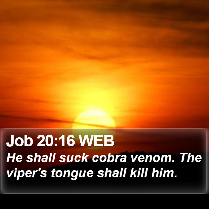 Job 20:16 WEB Bible Study