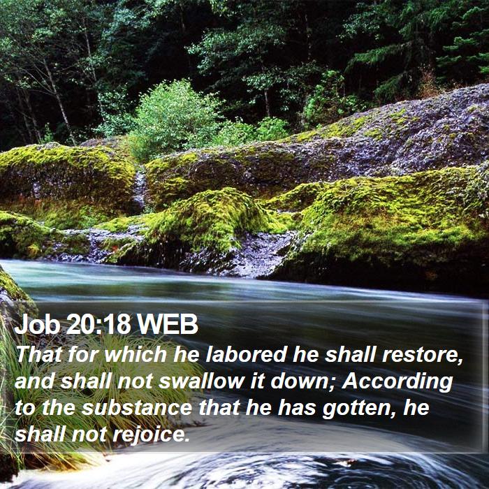 Job 20:18 WEB Bible Study