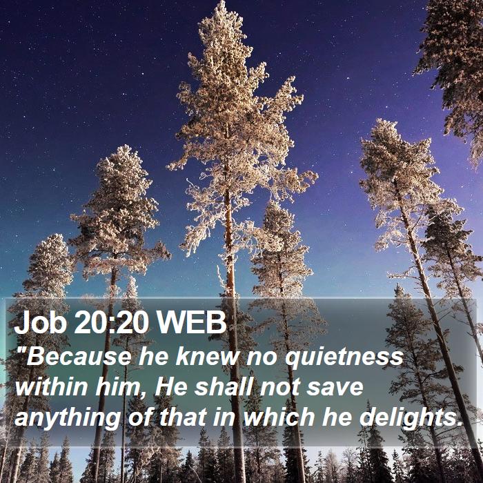 Job 20:20 WEB Bible Study