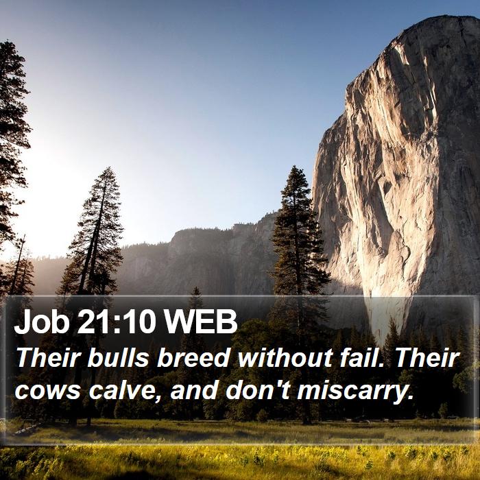 Job 21:10 WEB Bible Study