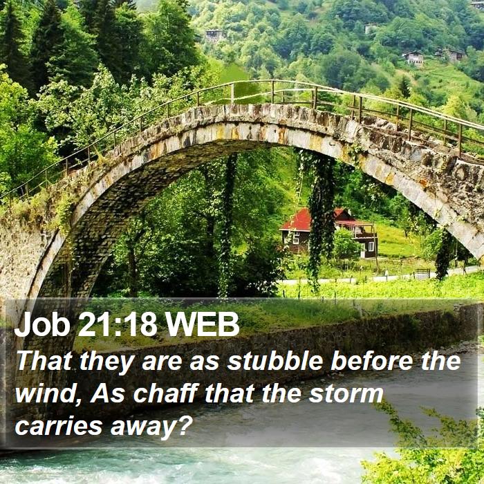 Job 21:18 WEB Bible Study