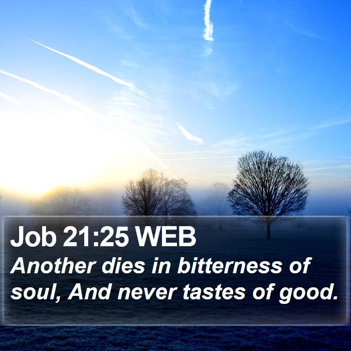 Job 21:25 WEB Bible Study