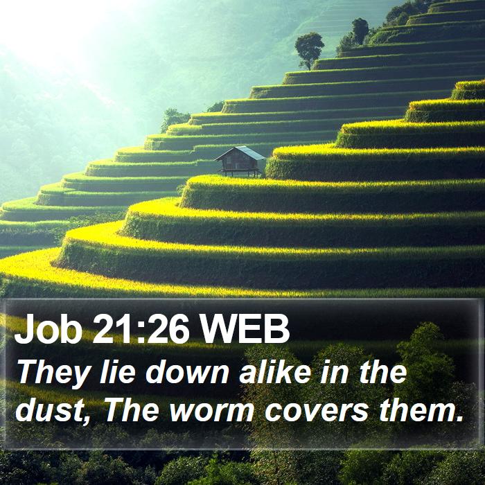 Job 21:26 WEB Bible Study