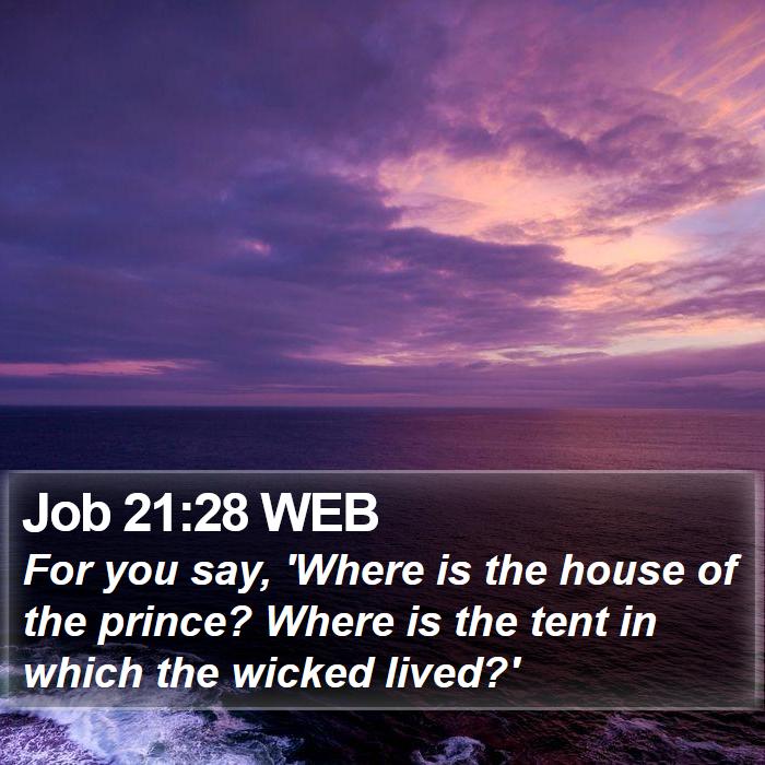 Job 21:28 WEB Bible Study