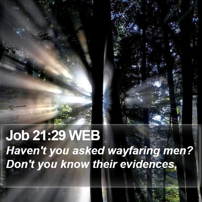 Job 21:29 WEB Bible Study