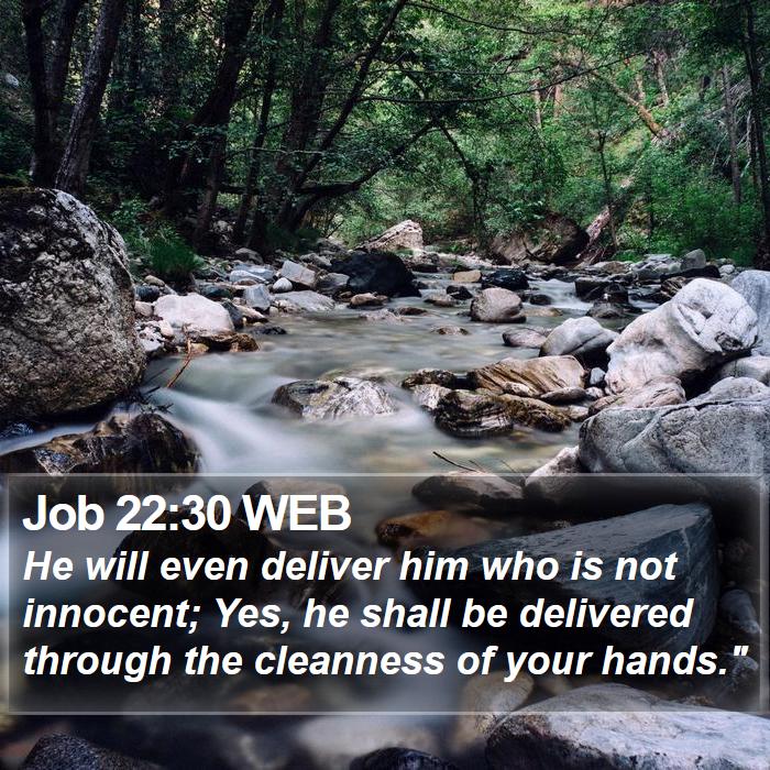 Job 22:30 WEB Bible Study