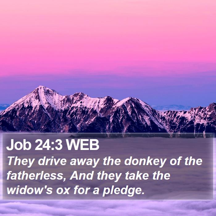 Job 24:3 WEB Bible Study