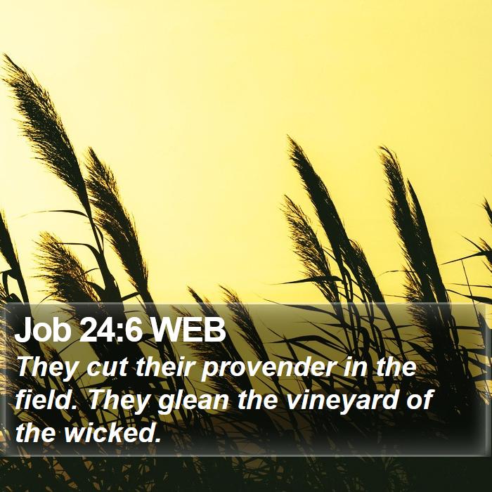 Job 24:6 WEB Bible Study