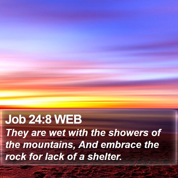 Job 24:8 WEB Bible Study