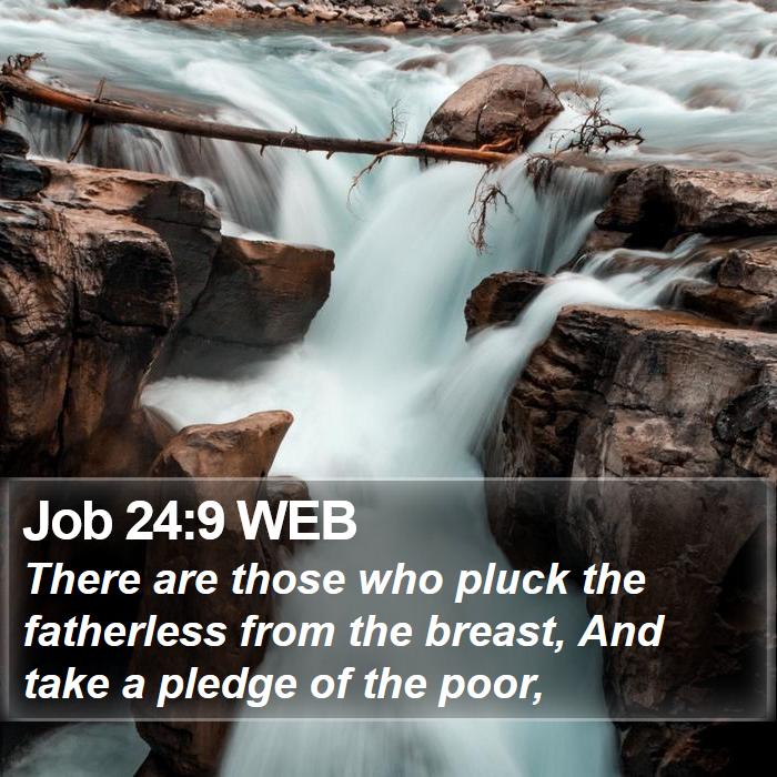 Job 24:9 WEB Bible Study