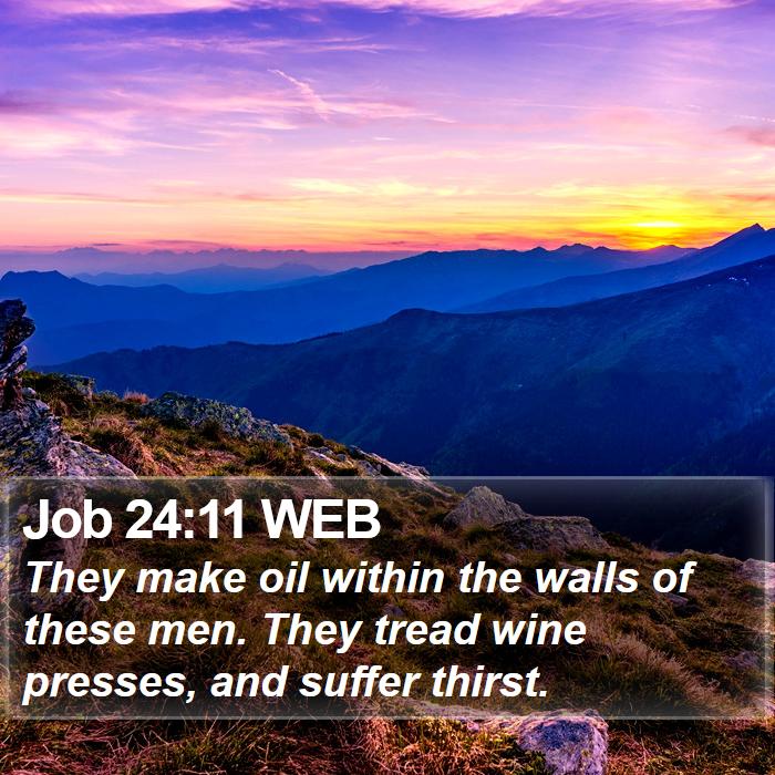 Job 24:11 WEB Bible Study