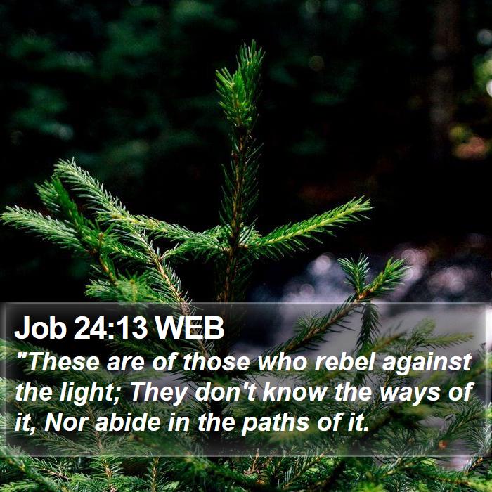 Job 24:13 WEB Bible Study