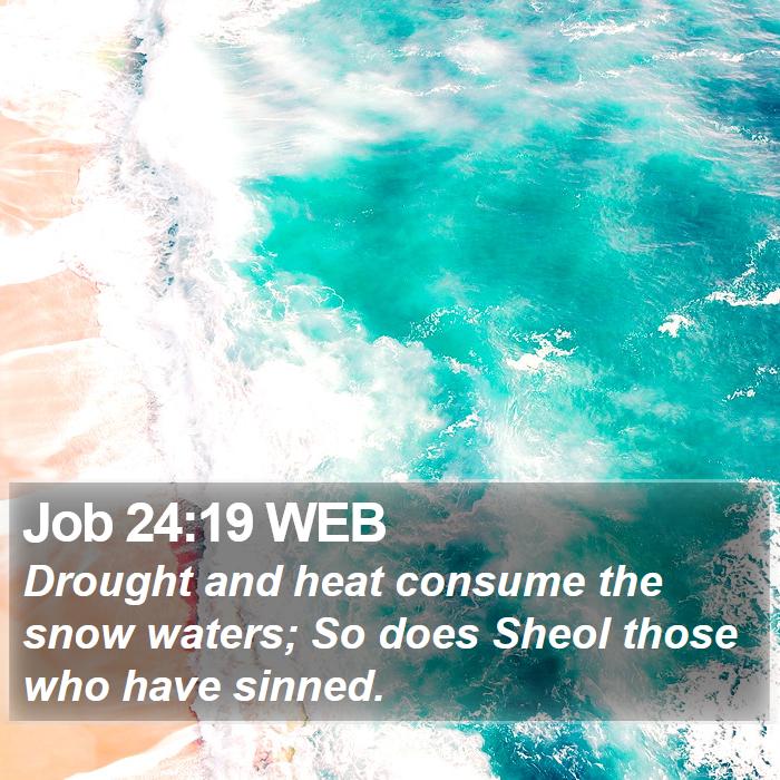 Job 24:19 WEB Bible Study