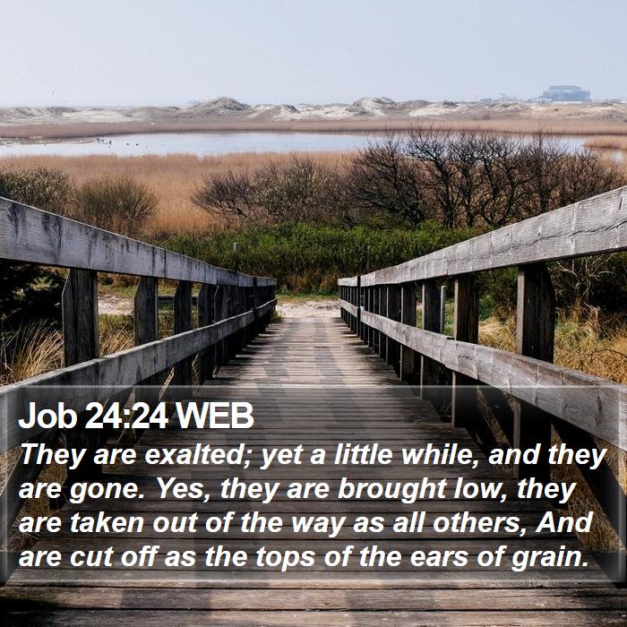 Job 24:24 WEB Bible Study