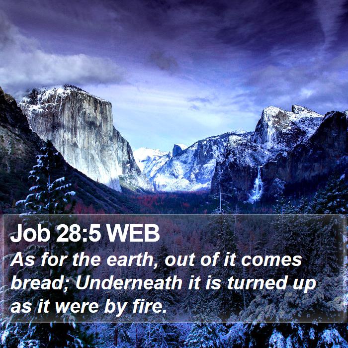 Job 28:5 WEB Bible Study