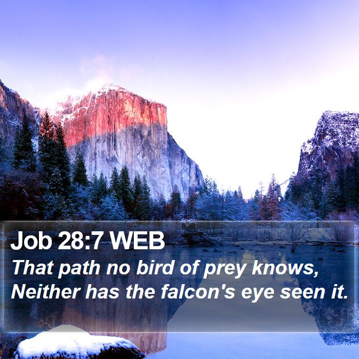 Job 28:7 WEB Bible Study