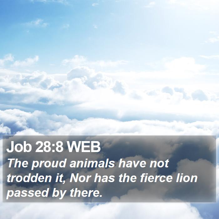 Job 28:8 WEB Bible Study