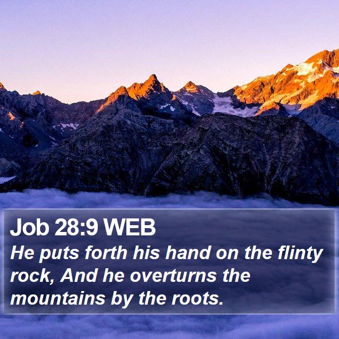 Job 28:9 WEB Bible Study