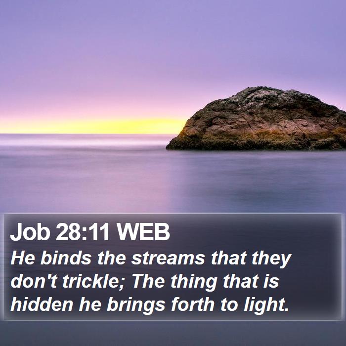 Job 28:11 WEB Bible Study