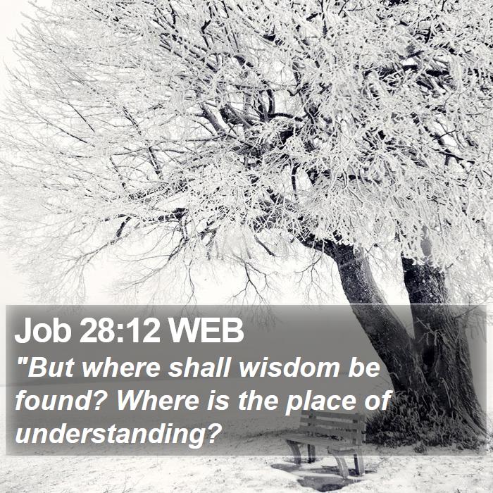 Job 28:12 WEB Bible Study