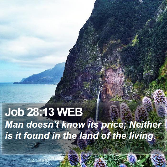 Job 28:13 WEB Bible Study