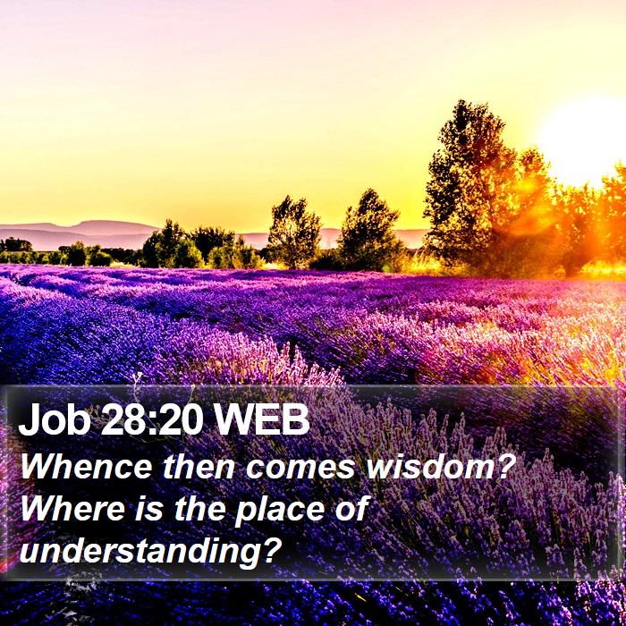 Job 28:20 WEB Bible Study