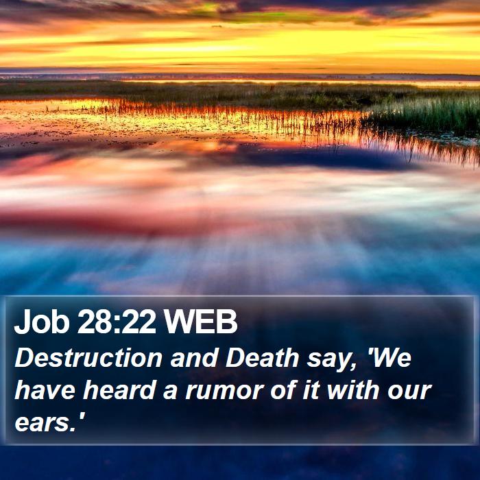 Job 28:22 WEB Bible Study