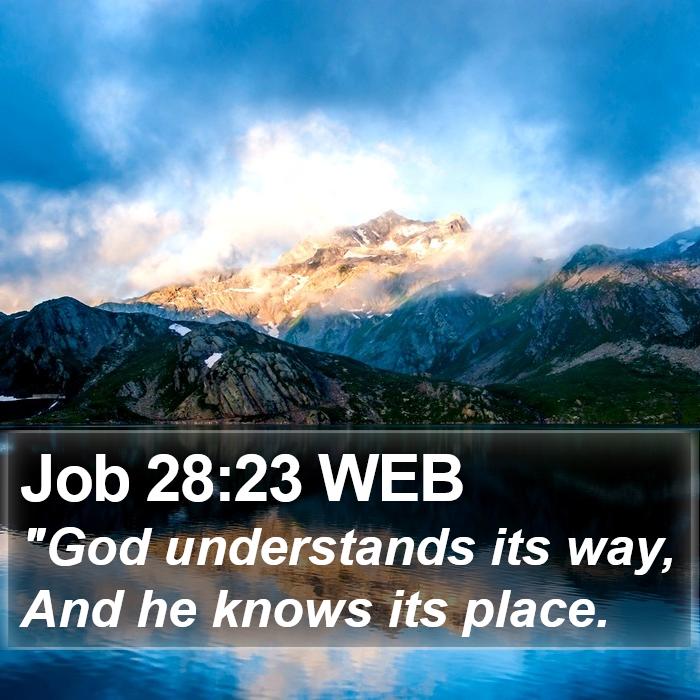 Job 28:23 WEB Bible Study