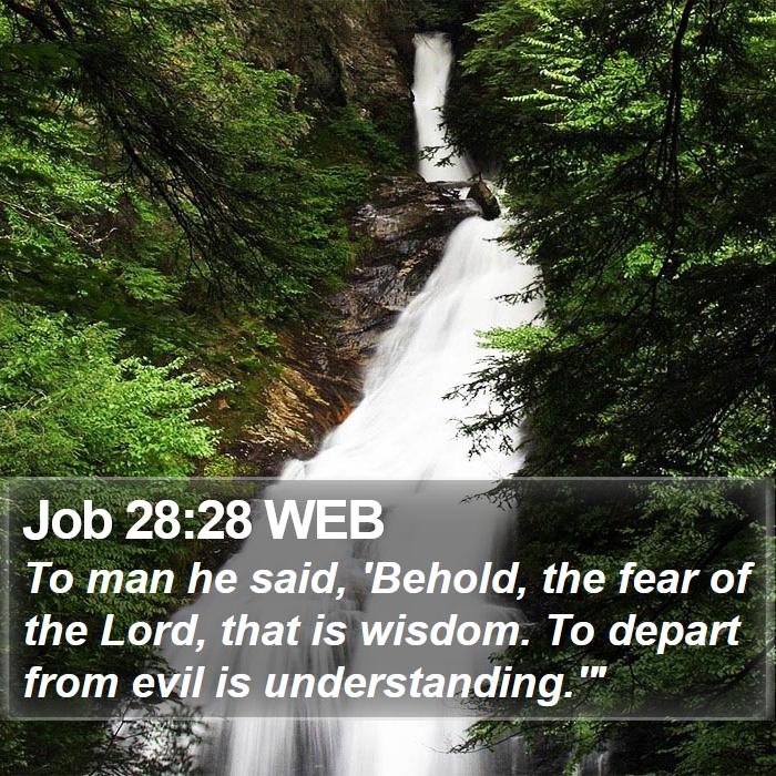 Job 28:28 WEB Bible Study