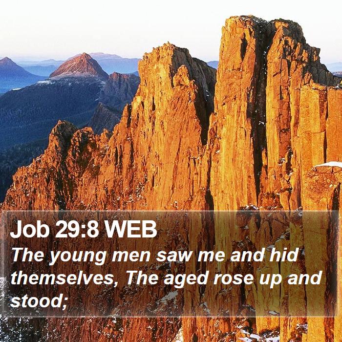 Job 29:8 WEB Bible Study