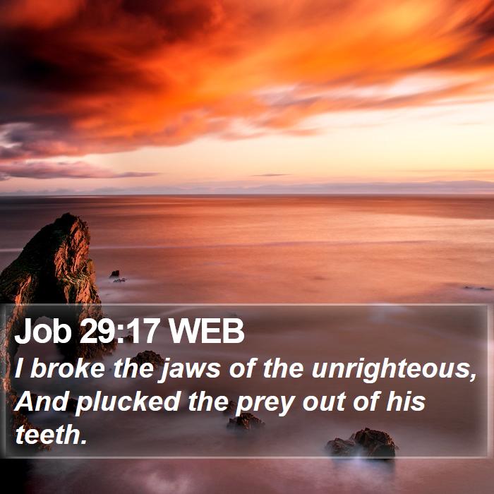 Job 29:17 WEB Bible Study