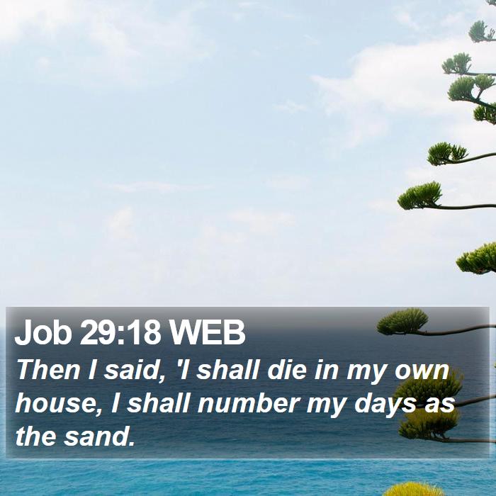 Job 29:18 WEB Bible Study