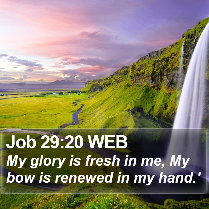 Job 29:20 WEB Bible Study