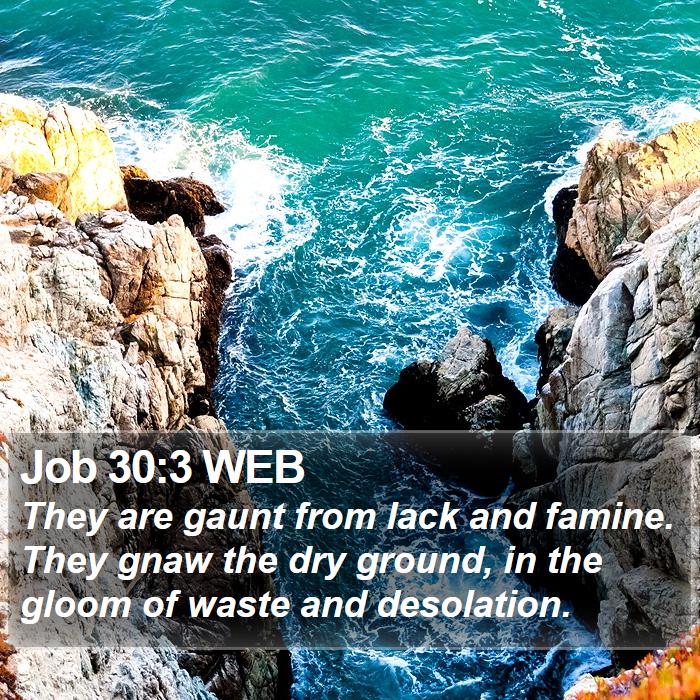 Job 30:3 WEB Bible Study