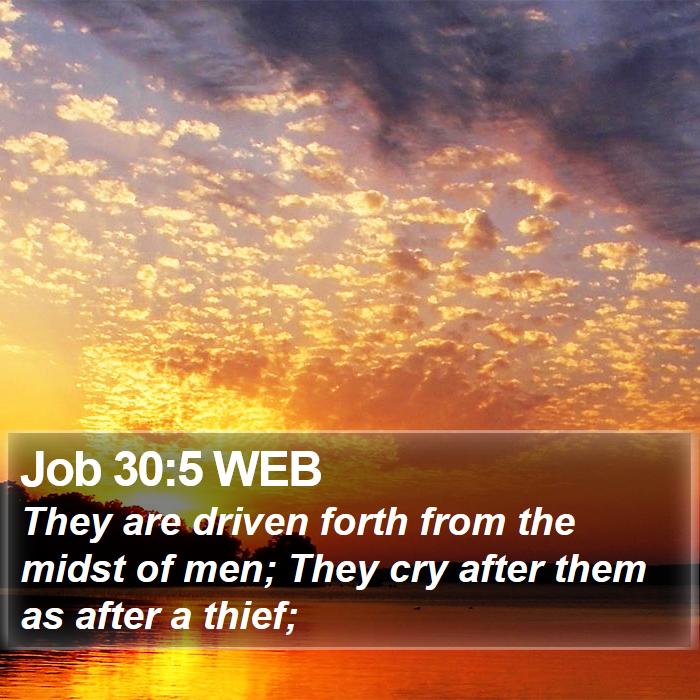 Job 30:5 WEB Bible Study