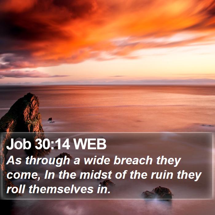 Job 30:14 WEB Bible Study