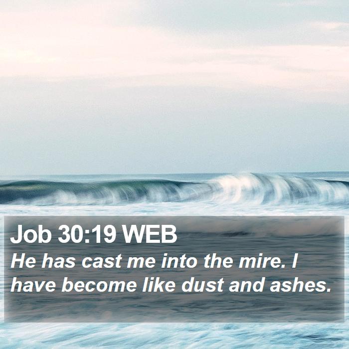 Job 30:19 WEB Bible Study