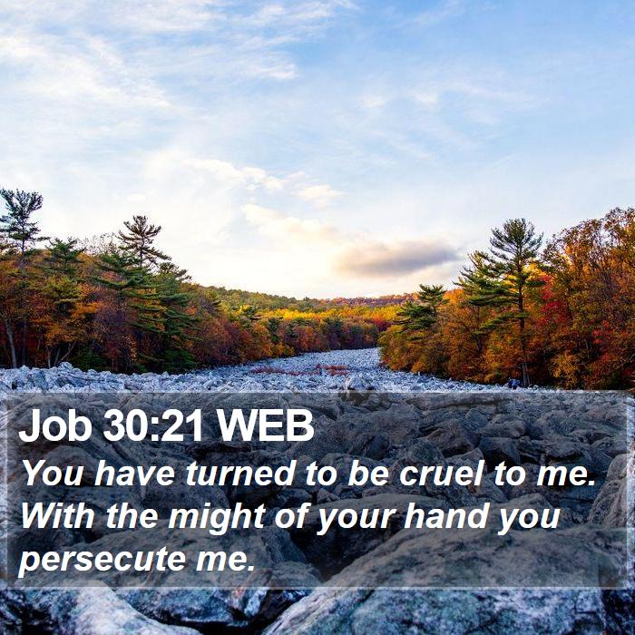 Job 30:21 WEB Bible Study