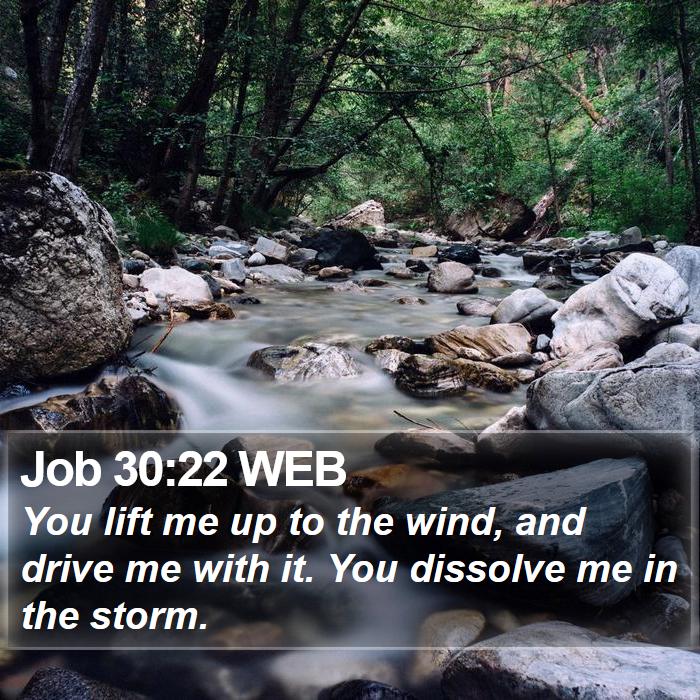 Job 30:22 WEB Bible Study