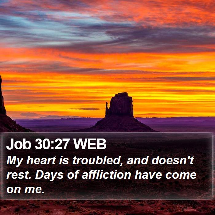 Job 30:27 WEB Bible Study