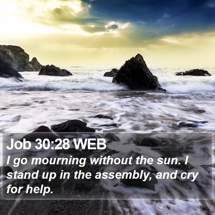 Job 30:28 WEB Bible Study