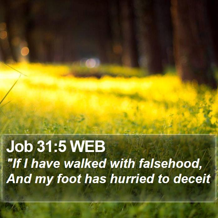 Job 31:5 WEB Bible Study