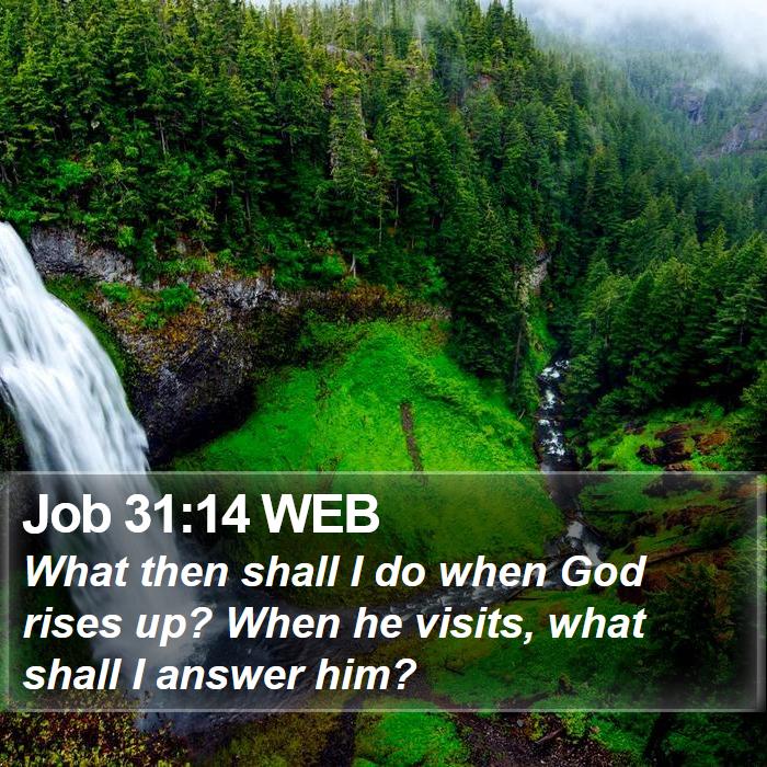 Job 31:14 WEB Bible Study