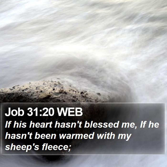 Job 31:20 WEB Bible Study