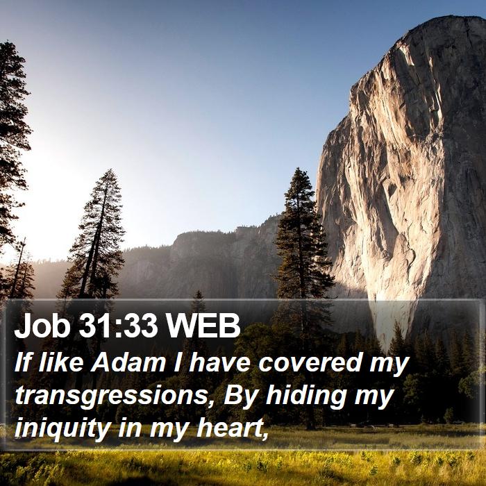 Job 31:33 WEB Bible Study