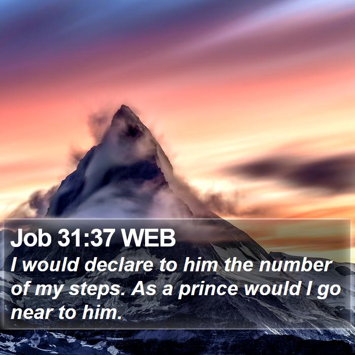 Job 31:37 WEB Bible Study