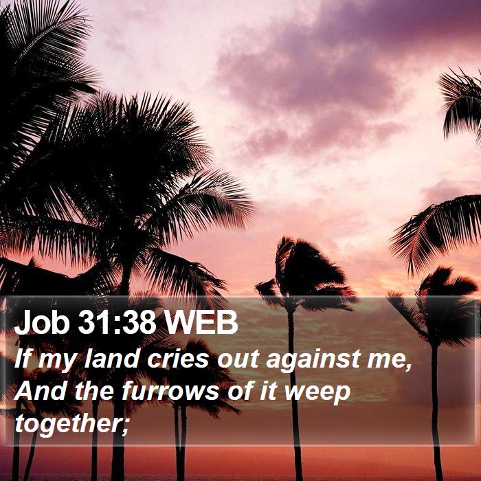 Job 31:38 WEB Bible Study